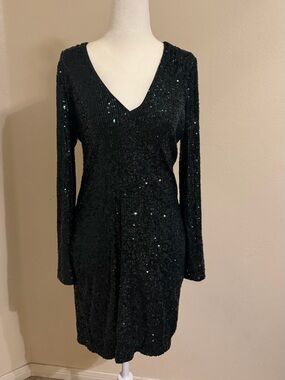 Express Dark Green Sequin Dress